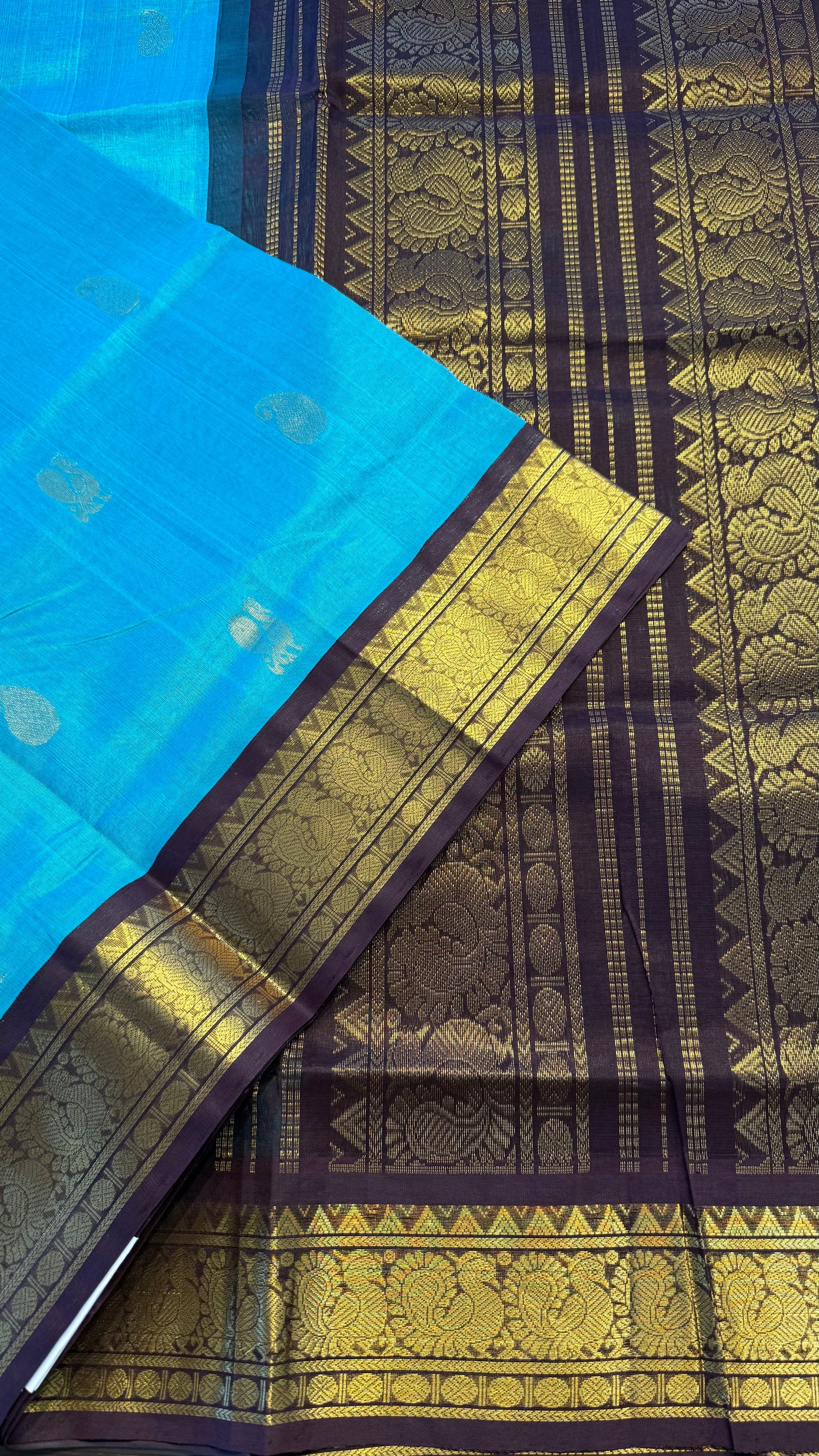 TURQUIOSE BLUE WITH CONTRAST DARK BROWN HANDLOOM KANCHIPURAM SILK COTTON (KSC120)