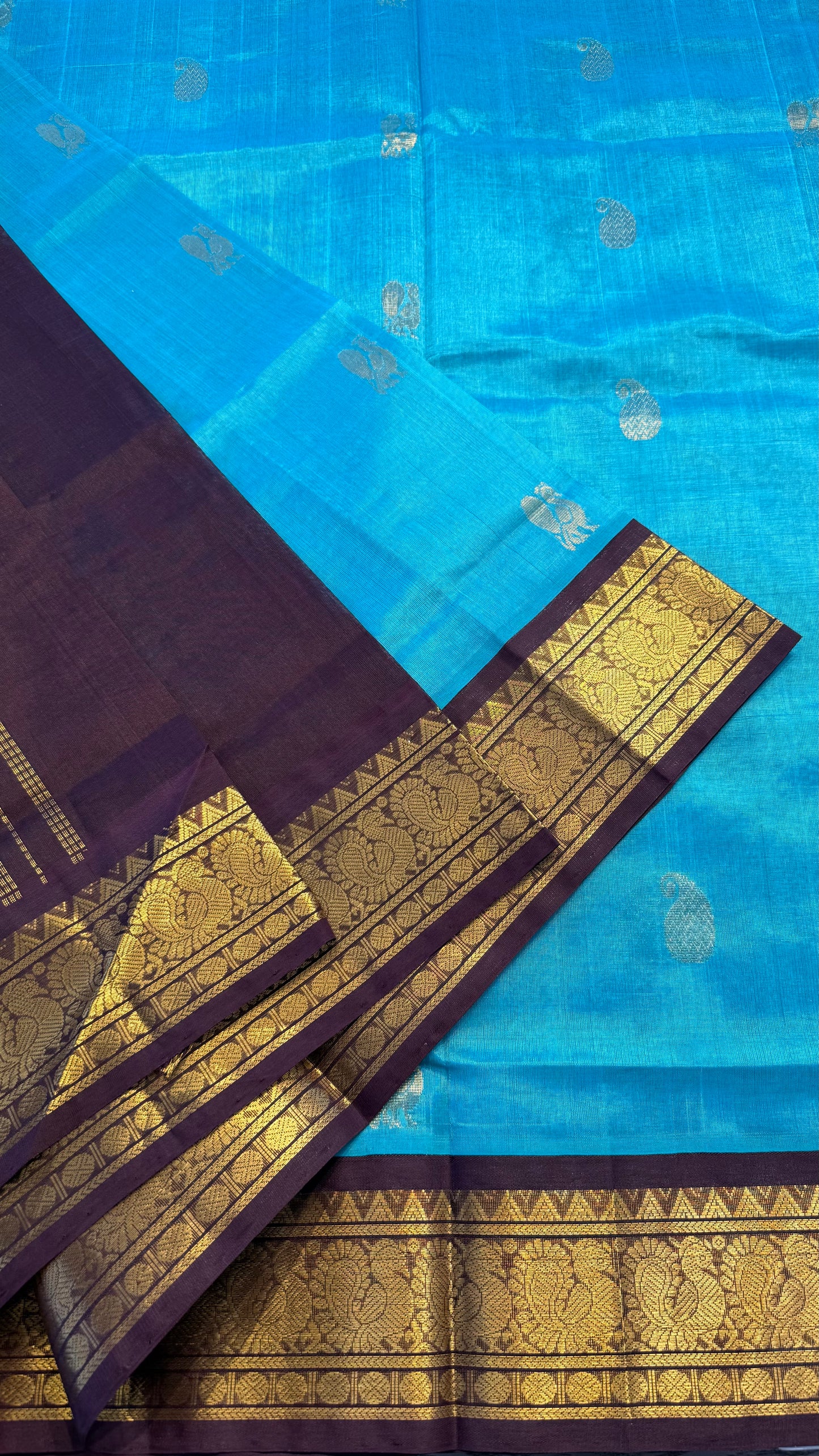 TURQUIOSE BLUE WITH CONTRAST DARK BROWN HANDLOOM KANCHIPURAM SILK COTTON (KSC120)