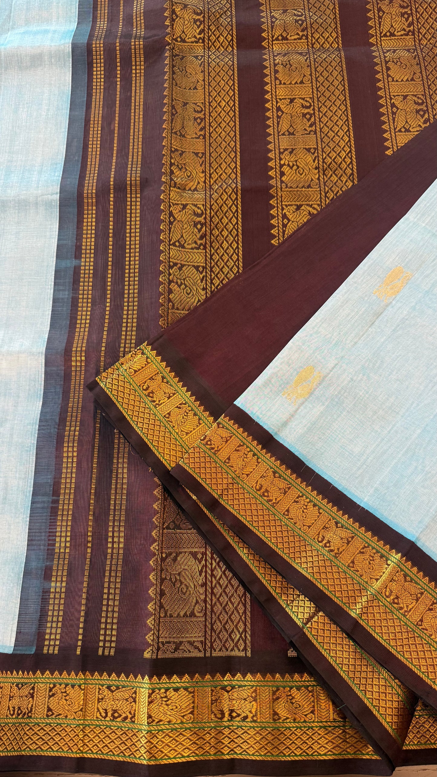 SKY BLUE WITH CONTRAST DARK BROWN KANCHIPURAM SILK COTTON (KSC74)