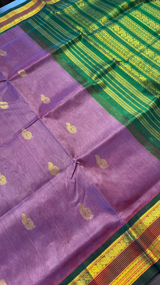 ONION PURPLE WITH GREEN HANDLOOM KANCHIPURAM SILK COTTON (KSC128)