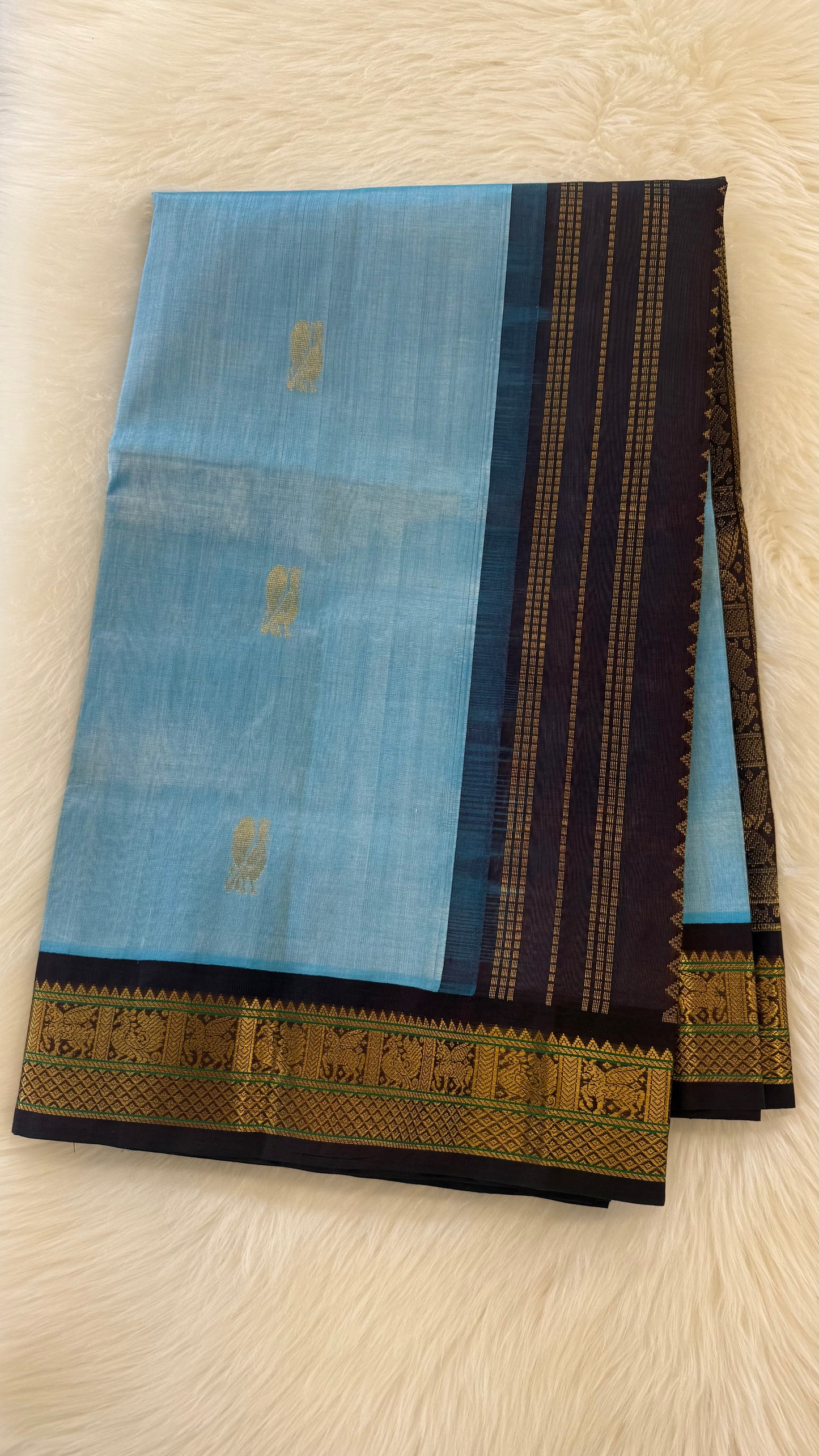 SKY BLUE WITH CONTRAST DARK BROWN KANCHIPURAM SILK COTTON (KSC74)