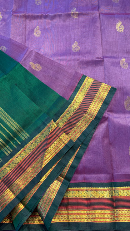 ONION PURPLE WITH GREEN HANDLOOM KANCHIPURAM SILK COTTON (KSC128)