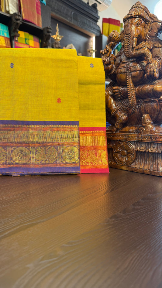 Kanchi Cotton Saree