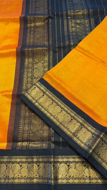 HANDLOOM KANCHIPURAM SILK COTTON (KSC287)