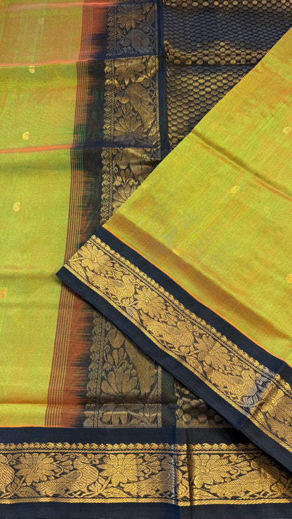 HANDLOOM KANCHIPURAM SILK COTTON (KSC228)