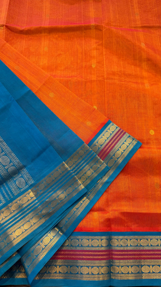 HANDLOOM KANCHIPURAM SILK COTTON (KSC238)
