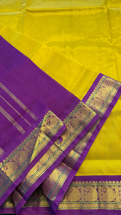 YELLOW WITH PURPLE HANDLOOM KANCHIPURAM SILK COTTON (KSC101)