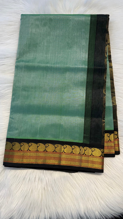 SAGE GREEN WITH CONTRAST BLACK KANCHIPURAM SILK COTTON (KSC19)