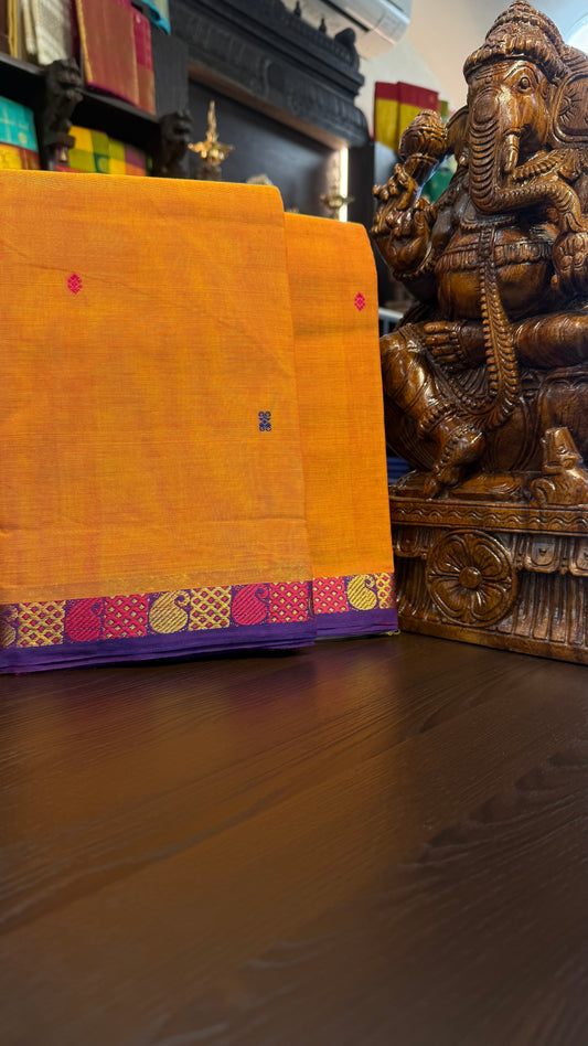 Kanchi Cotton Saree
