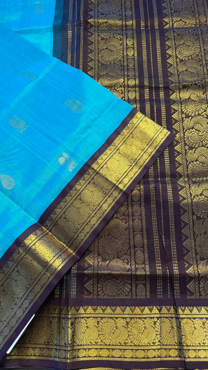 TURQUIOSE BLUE WITH CONTRAST DARK BROWN HANDLOOM KANCHIPURAM SILK COTTON (KSC120)