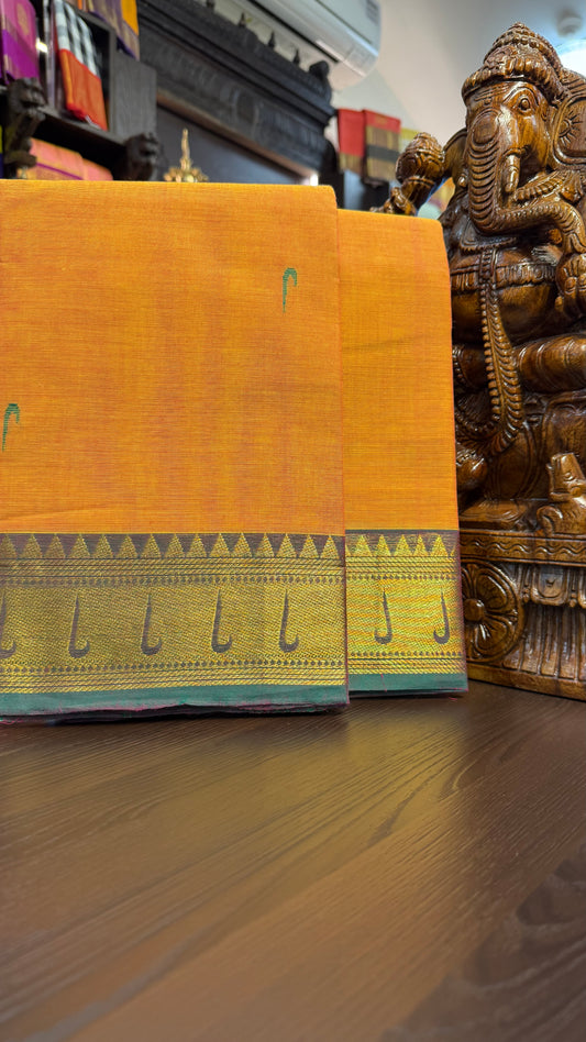 Kanchi Cotton Saree