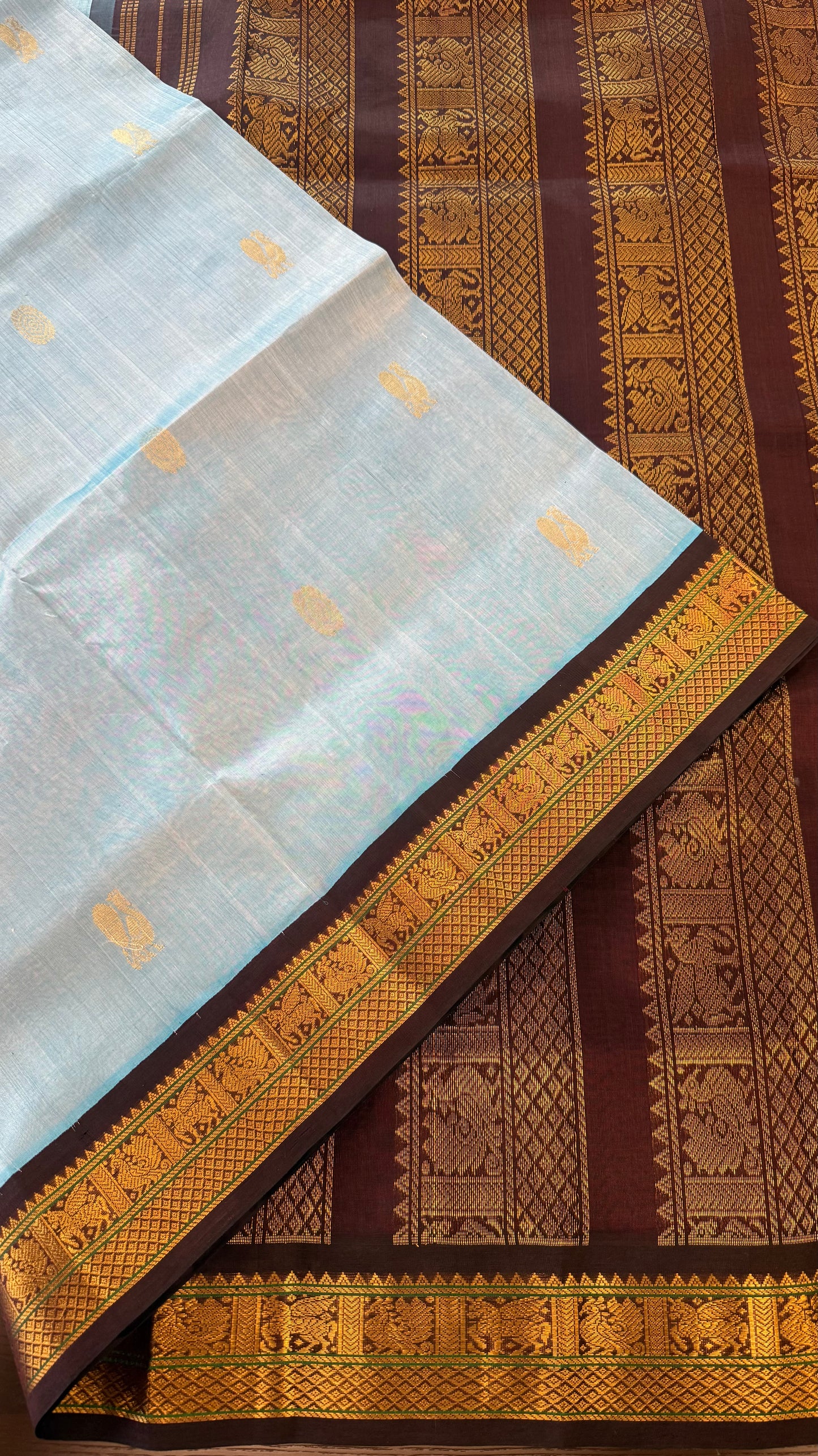SKY BLUE WITH CONTRAST DARK BROWN KANCHIPURAM SILK COTTON (KSC74)