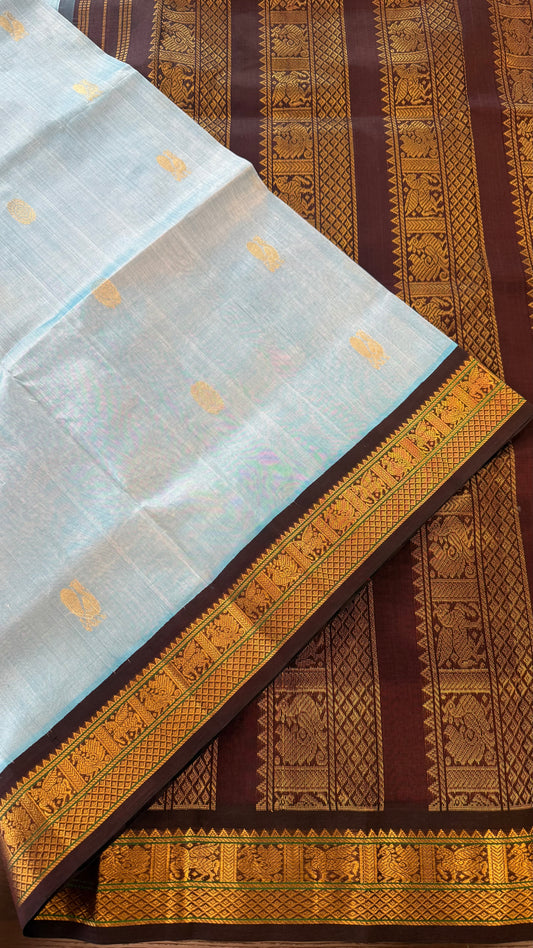 SKY BLUE WITH CONTRAST DARK BROWN KANCHIPURAM SILK COTTON (KSC74)