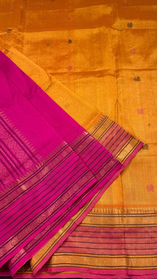 HANDLOOM KANCHIPURAM SILK COTTON (KSC173)