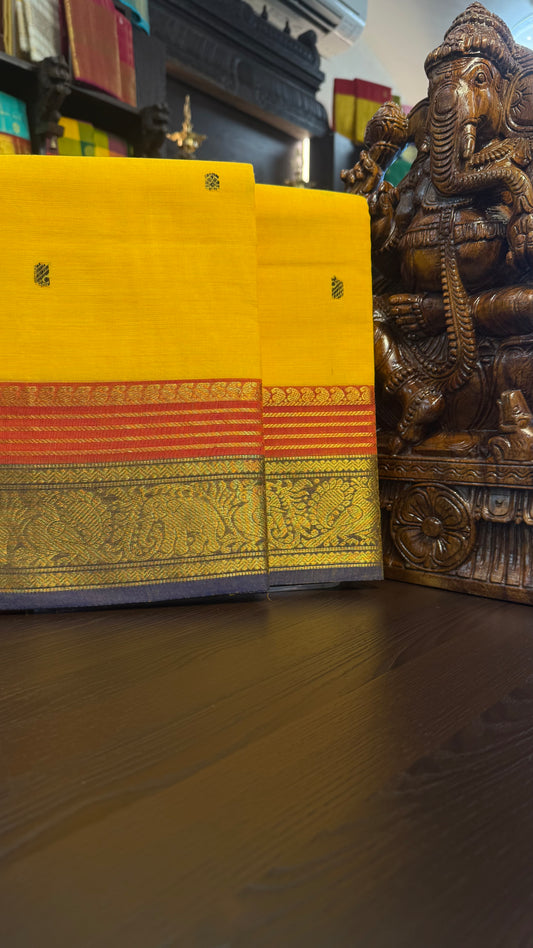 Kanchi Cotton Saree