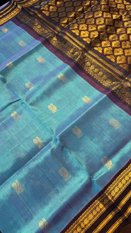 TURQUOISE WITH DARK BROWN HANDLOOM KANCHIPURAM SILK COTTON (KSC132)