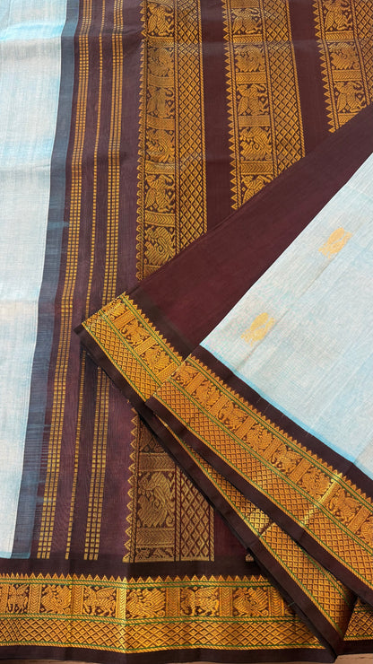 SKY BLUE WITH CONTRAST DARK BROWN KANCHIPURAM SILK COTTON (KSC74)