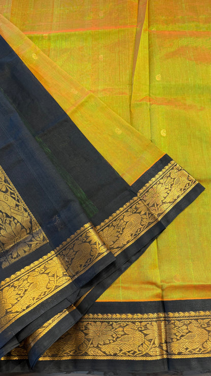 HANDLOOM KANCHIPURAM SILK COTTON (KSC228)