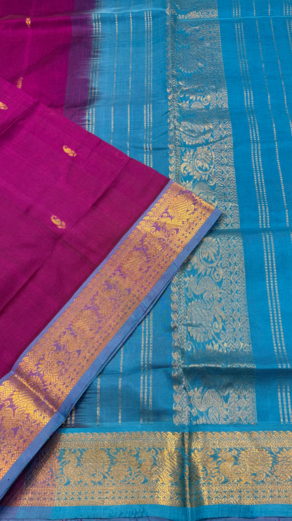 HANDLOOM KANCHIPURAM SILK COTTON (KSC193)