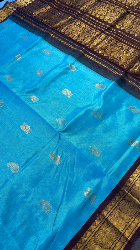 TURQUIOSE BLUE WITH CONTRAST DARK BROWN HANDLOOM KANCHIPURAM SILK COTTON (KSC120)