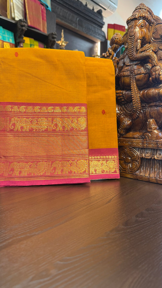 Kanchi Cotton Saree