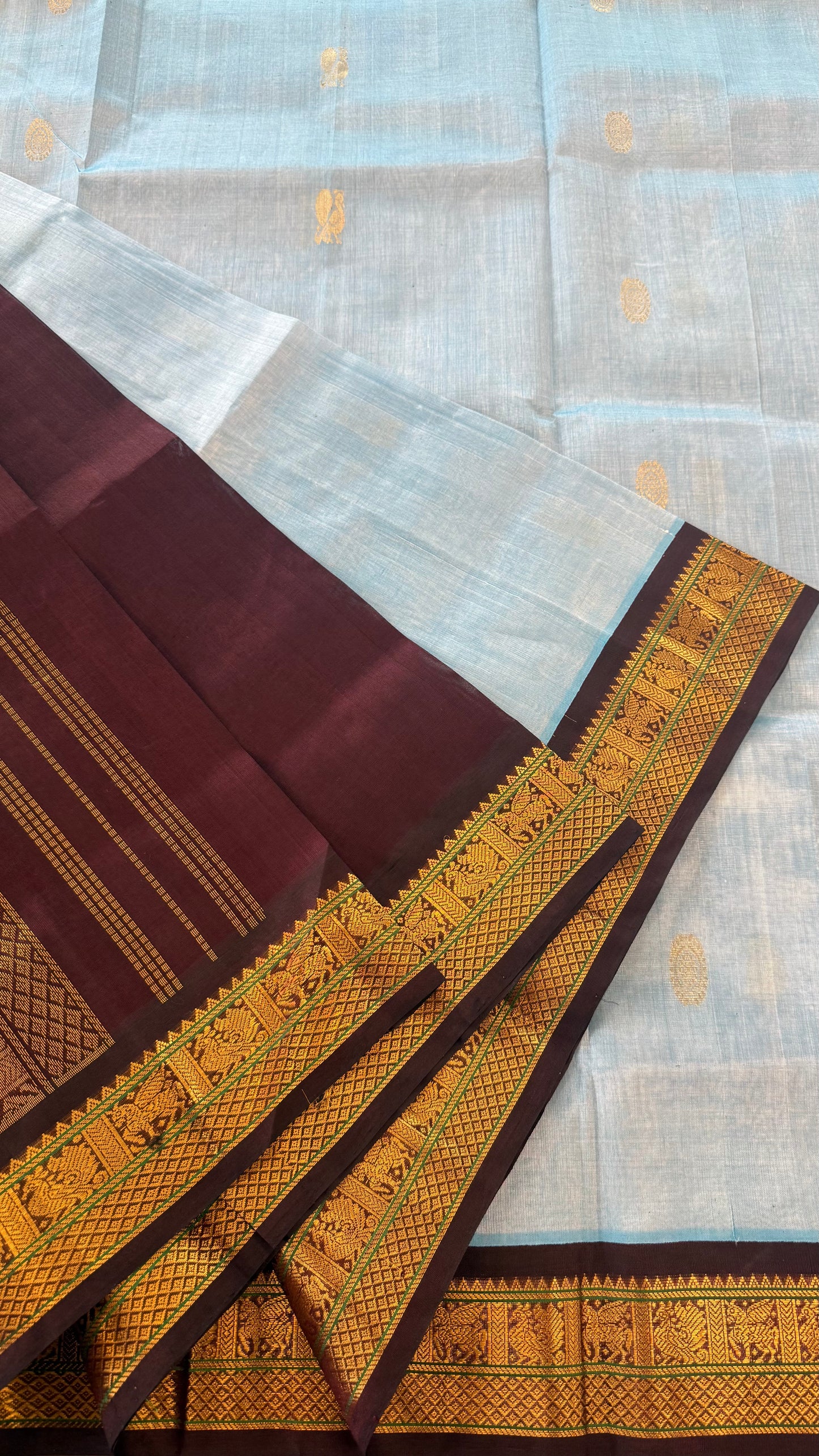SKY BLUE WITH CONTRAST DARK BROWN KANCHIPURAM SILK COTTON (KSC74)