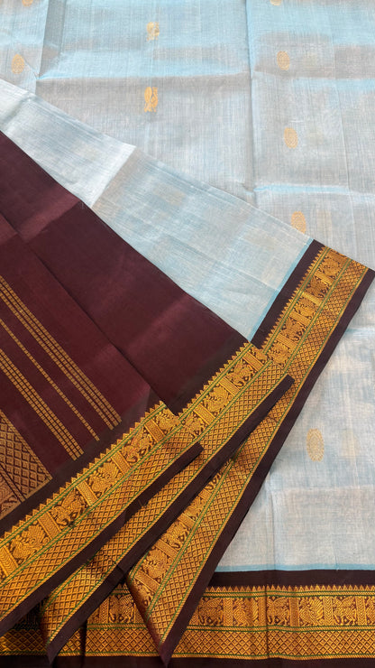 SKY BLUE WITH CONTRAST DARK BROWN KANCHIPURAM SILK COTTON (KSC74)