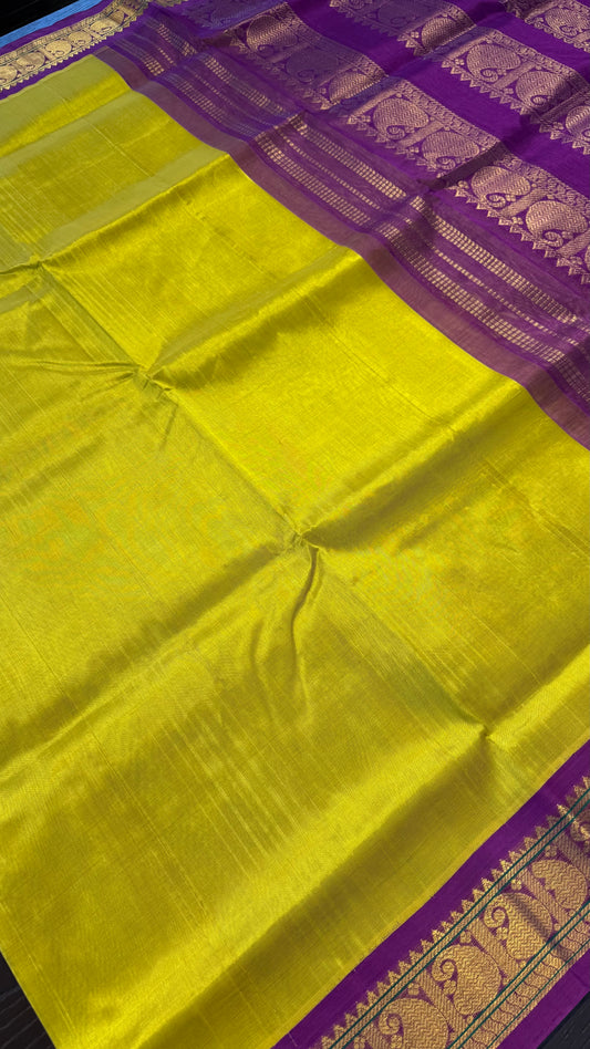 METALLIC YELLOW WITH PURPLE HANDLOOM KANCHIPURAM SILK COTTON (KSC99)