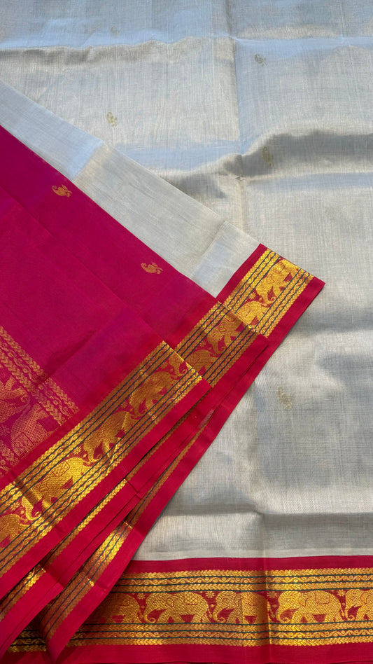 HANDLOOM KANCHIPURAM SILK COTTON (KSC281)