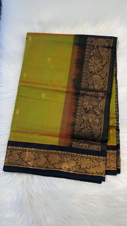 HANDLOOM KANCHIPURAM SILK COTTON (KSC228)