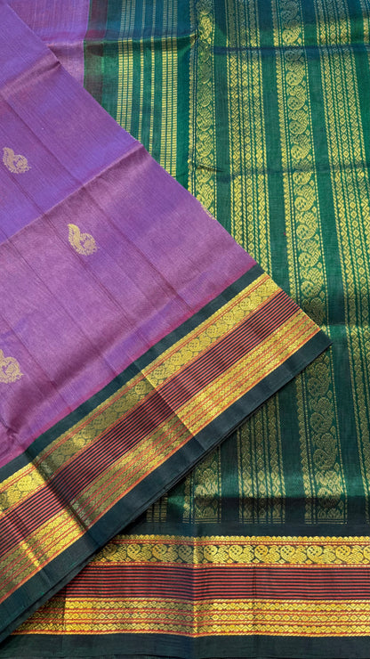 ONION PURPLE WITH GREEN HANDLOOM KANCHIPURAM SILK COTTON (KSC128)