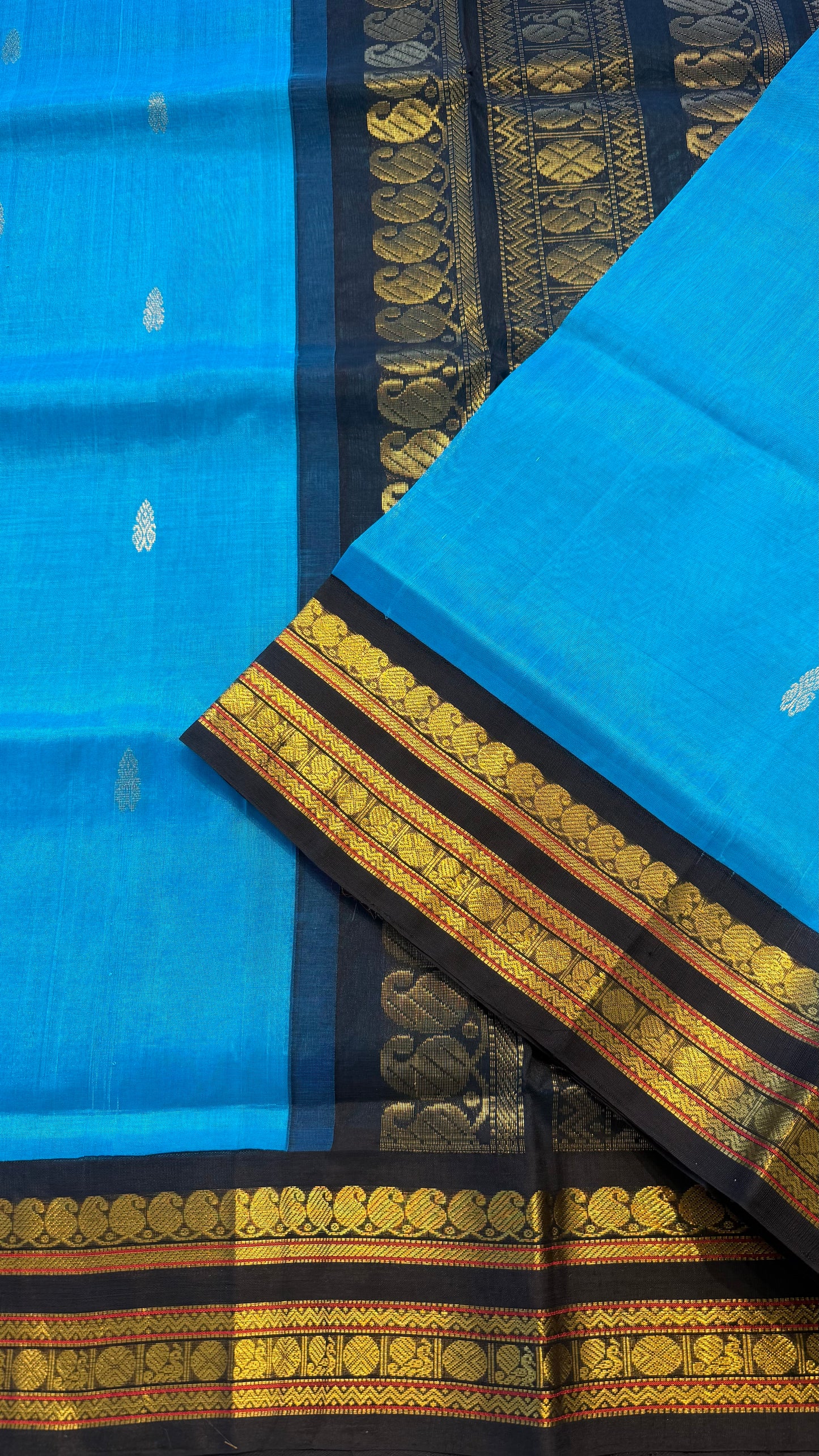 HANDLOOM KANCHIPURAM SILK COTTON (KSC283)