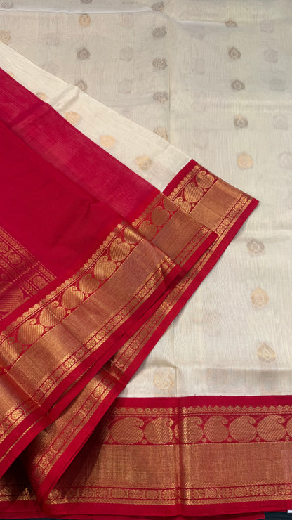 HANDLOOM KANCHIPURAM SILK COTTON (KSC208)