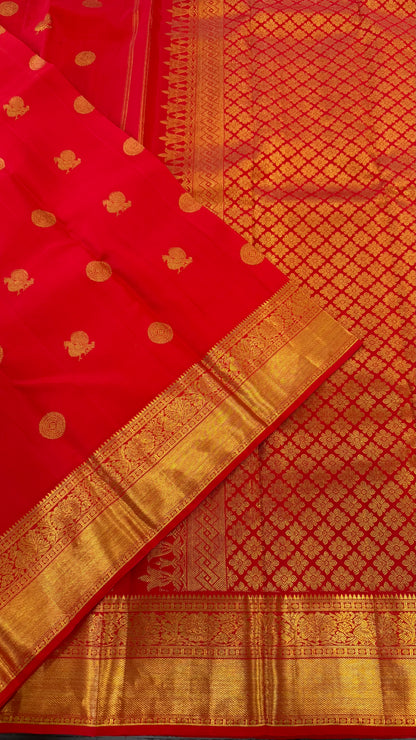 CHILI RED GOLD ZARI HANDLOOM KANICHIPURAM SILK SAREE (KSS83 / KSS154)