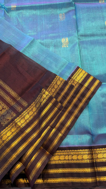 TURQUOISE WITH DARK BROWN HANDLOOM KANCHIPURAM SILK COTTON (KSC132)