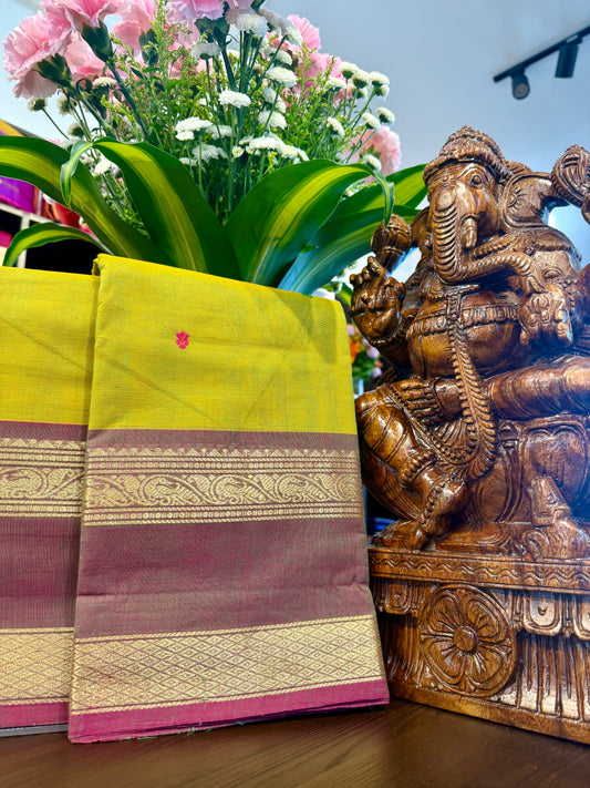 Kanchi Cotton Saree