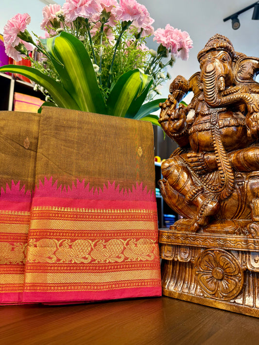 Kanchi Cotton Saree