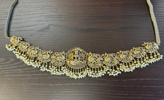 Advika Hip Belt