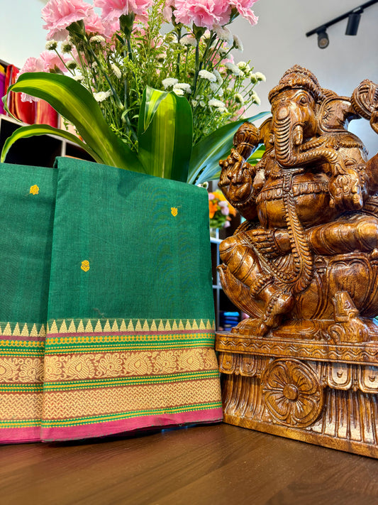 Kanchi Cotton Saree